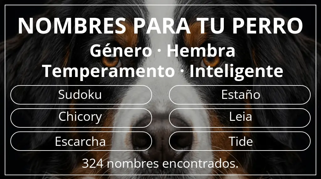 Nombres para perro inspirados en género hembra y temperamento inteligente