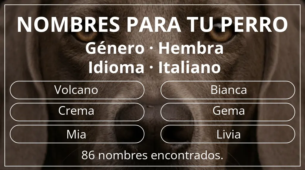Nombres de perro inspirados en género hembra y idioma italiano