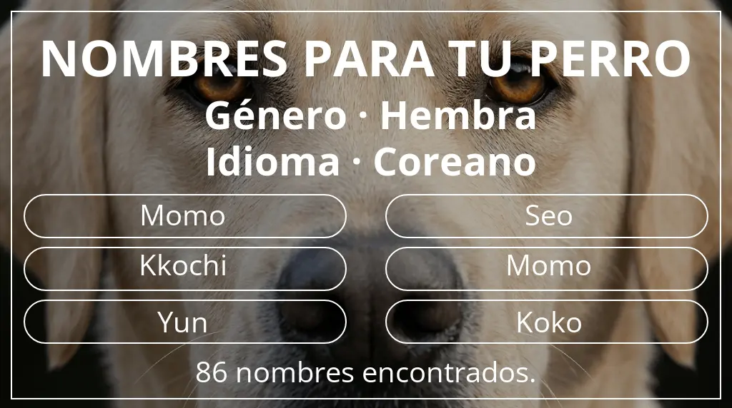 Nombres para perro inspirados en género hembra y idioma coreano