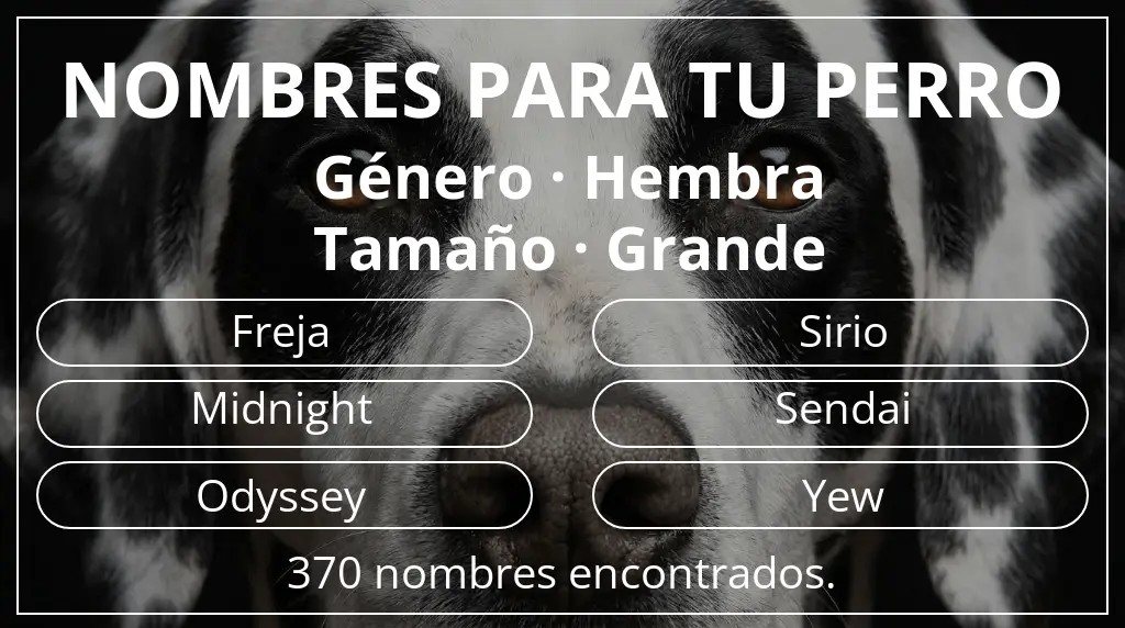 Nombres de perro inspirados en género hembra y tamaño grande
