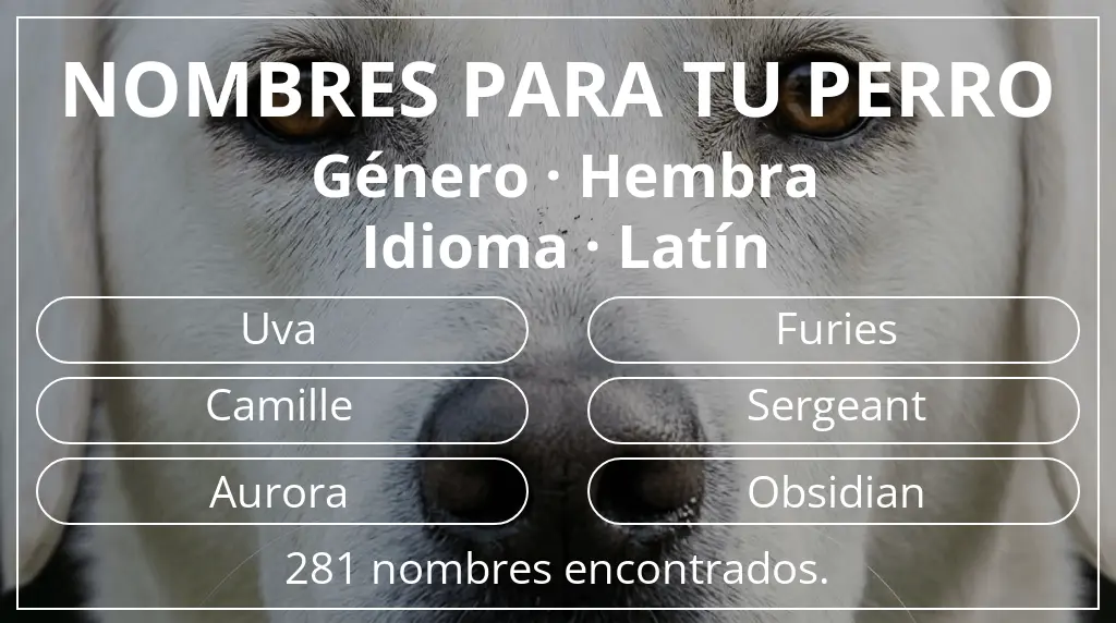 Nombres para perro basados en género hembra y idioma latín