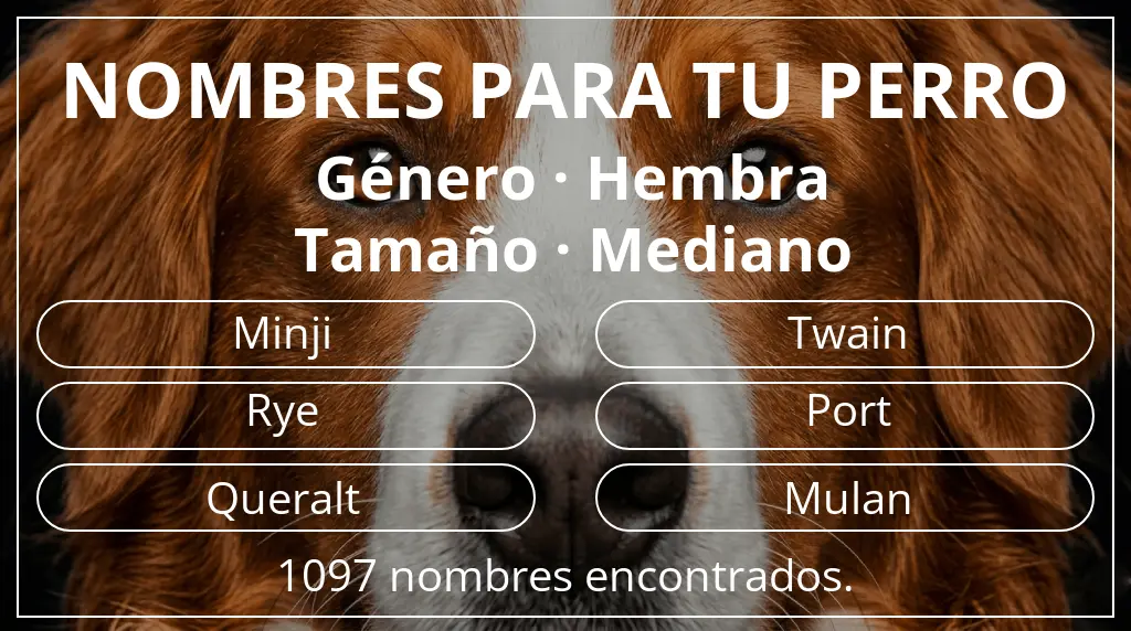 Nombres de perro inspirados en género hembra y tamaño mediano
