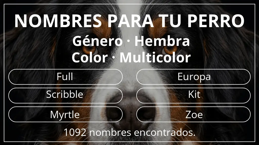Nombres para perro basados en género hembra y color multicolor