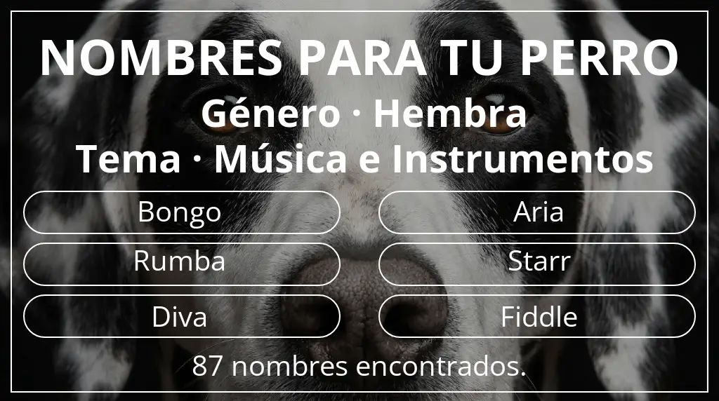 Nombres de perro inspirados en género hembra y tema música e instrumentos