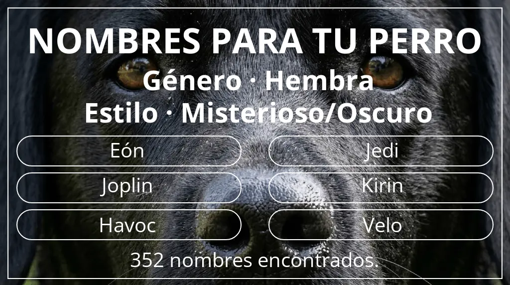 Nombres para perro basados en género hembra y estilo misterioso/oscuro