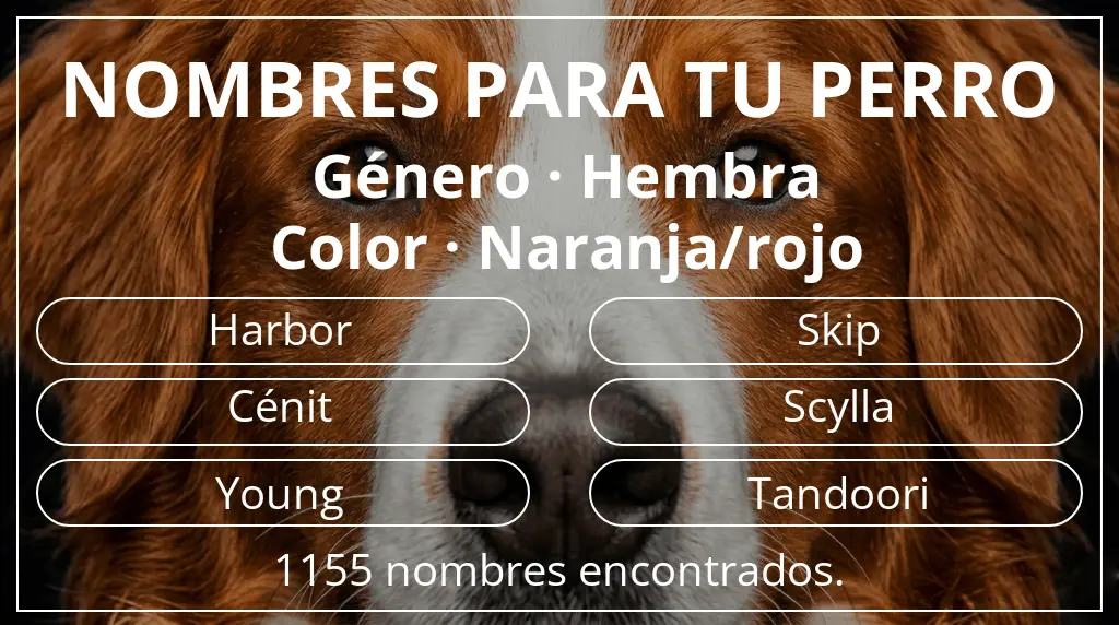 Nombres para perro basados en género hembra y color naranja/rojo