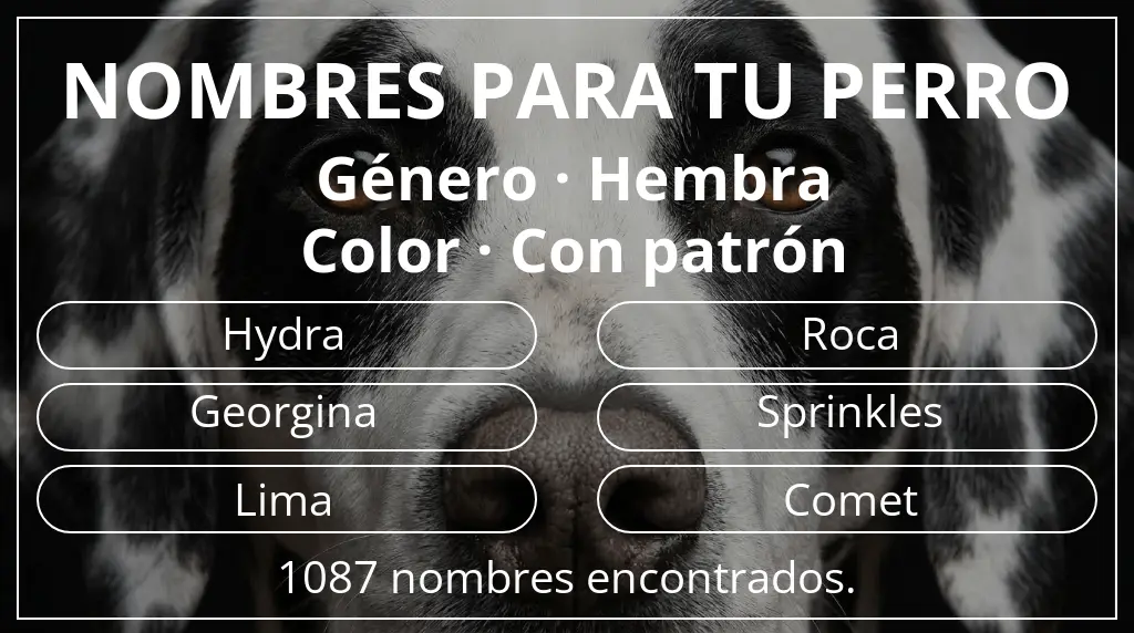 Nombres de perro basados en género hembra y color con patrón