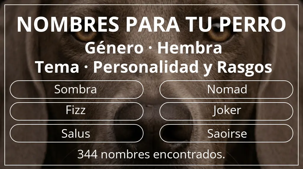 Nombres de perro inspirados en género hembra y tema personalidad y rasgos