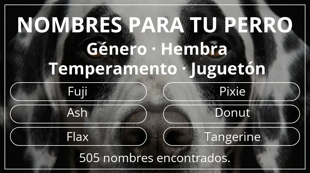 Nombres para perro basados en género hembra y temperamento juguetón