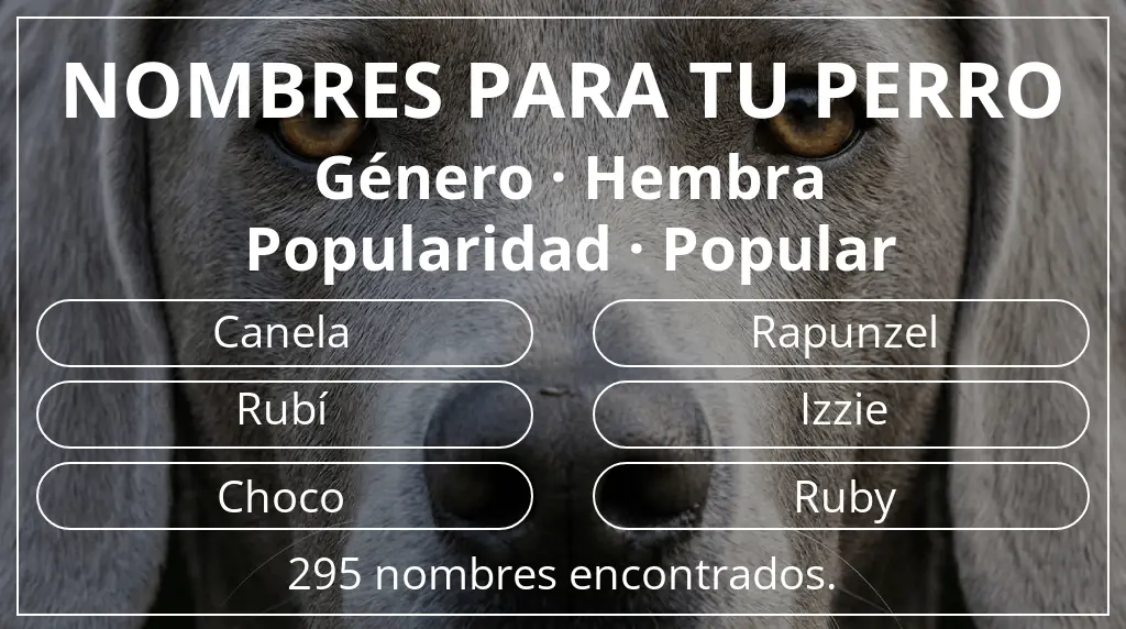 Nombres de perro inspirados en género hembra y popularidad popular