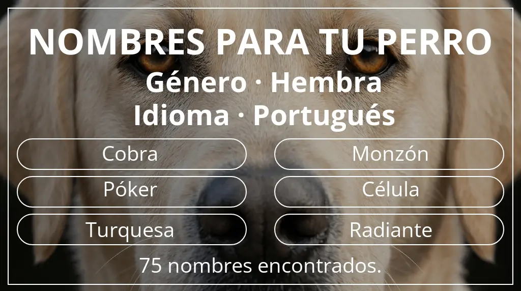 Nombres para perro inspirados en género hembra y idioma portugués