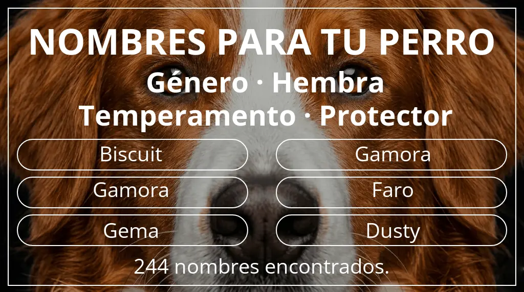 Nombres de perro inspirados en género hembra y temperamento protector