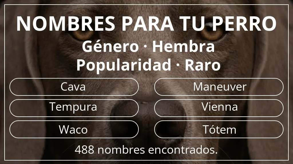 Nombres para perro inspirados en género hembra y popularidad raro