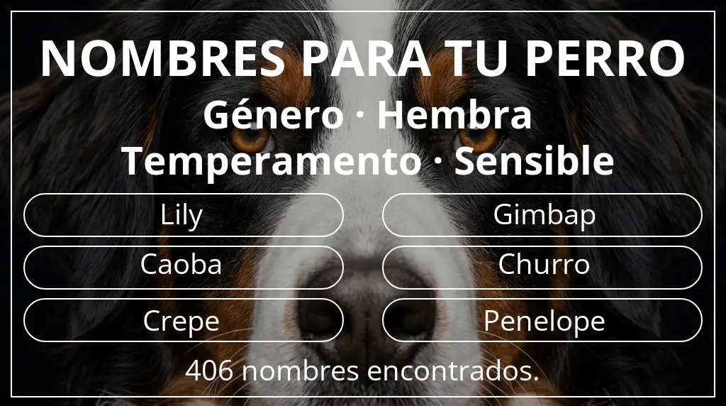 Nombres de perro basados en género hembra y temperamento sensible