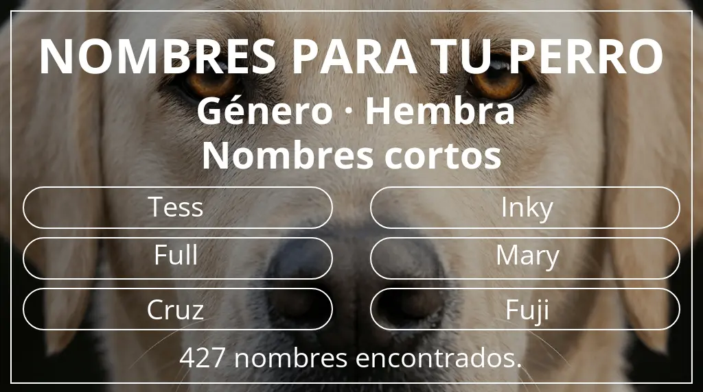 Nombres para perro basados en género hembra y longitud del nombre corto (2-4)