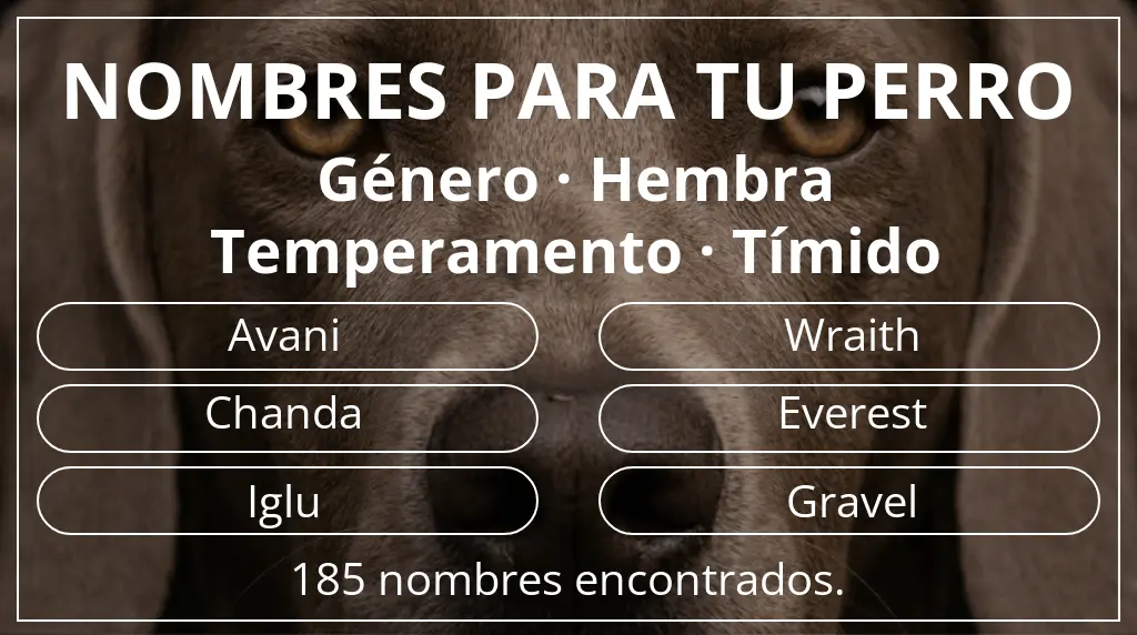 Nombres de perro inspirados en género hembra y temperamento tímido