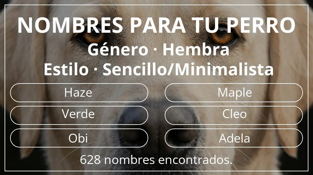 Nombres para perro inspirados en género hembra y estilo sencillo/minimalista