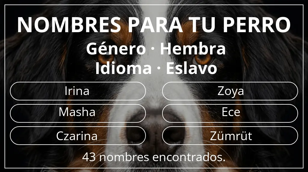 Nombres de perro inspirados en género hembra y idioma eslavo