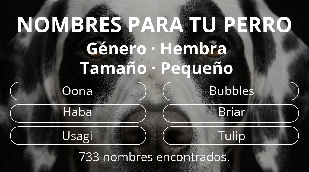 Nombres para perro inspirados en género hembra y tamaño pequeño