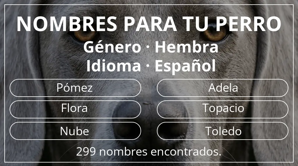 Nombres para perro basados en género hembra y idioma español