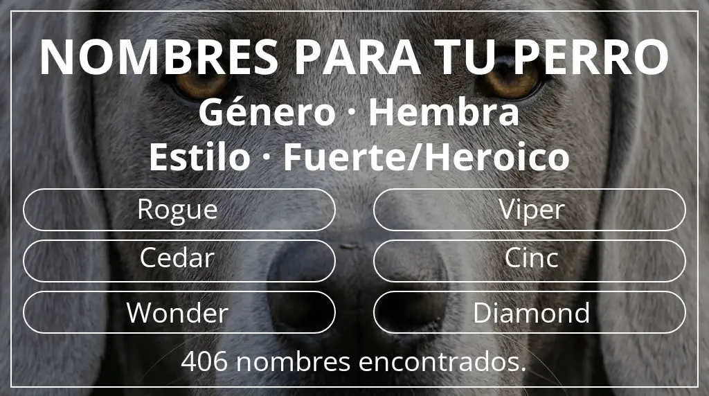 Nombres para perro inspirados en género hembra y estilo fuerte/heroico