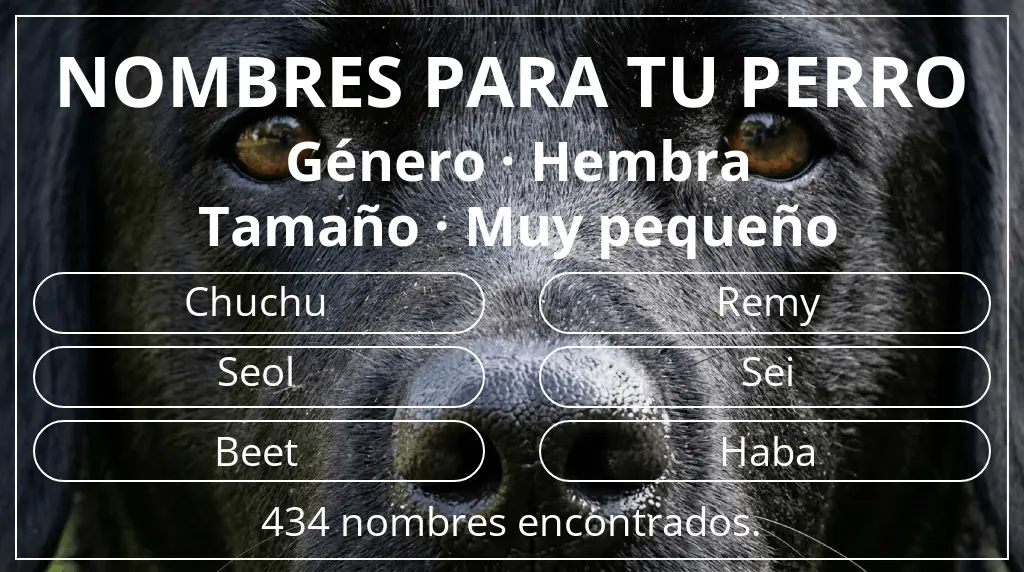 Nombres de perro basados en género hembra y tamaño muy pequeño