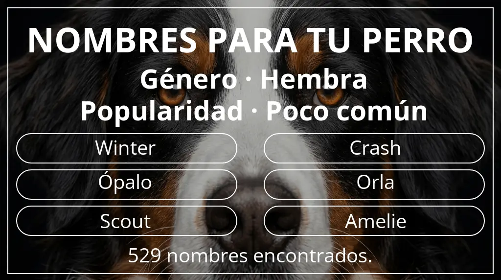 Nombres para perro inspirados en género hembra y popularidad poco común