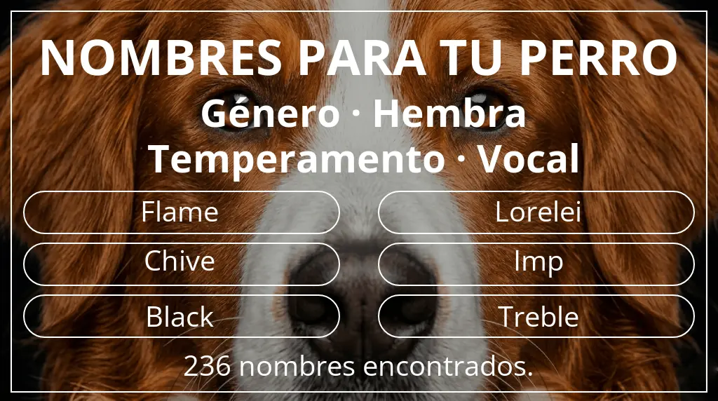 Nombres para perro inspirados en género hembra y temperamento vocal