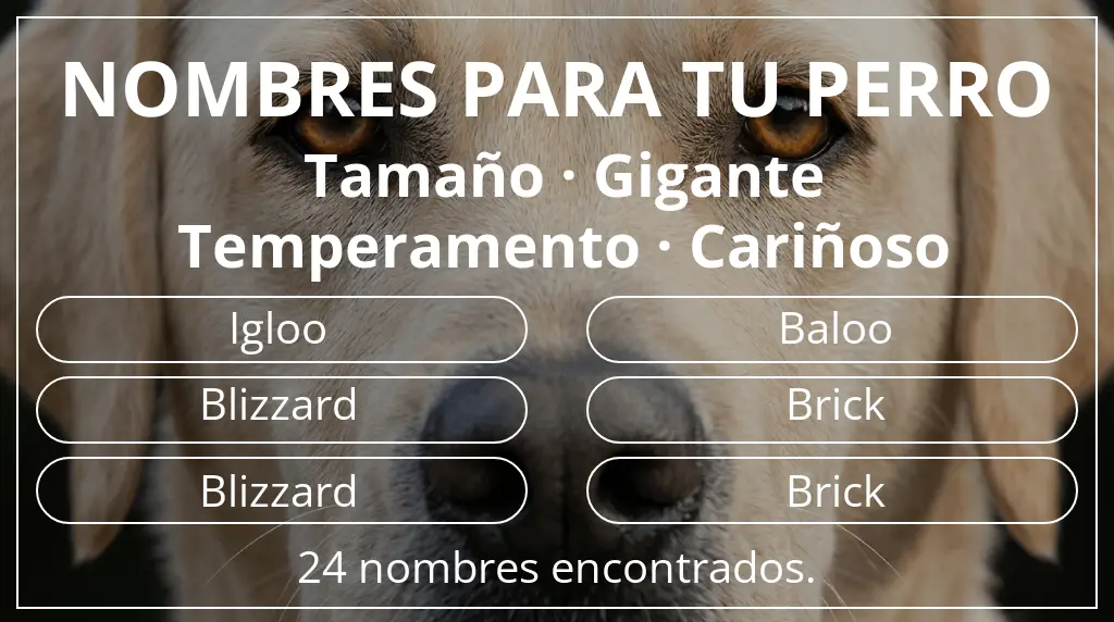Nombres para perro basados en tamaño gigante y temperamento cariñoso
