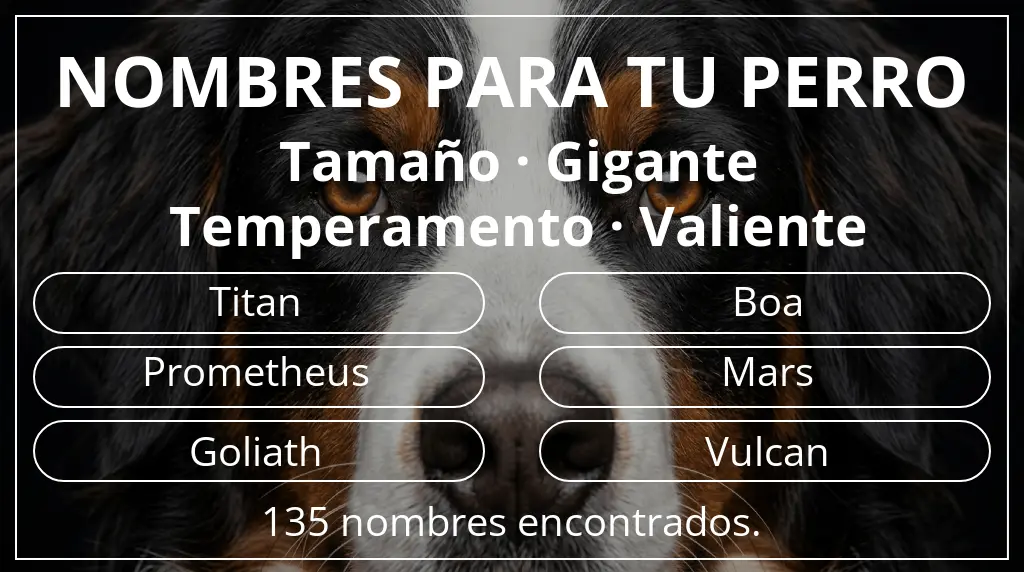 Nombres de perro inspirados en tamaño gigante y temperamento valiente