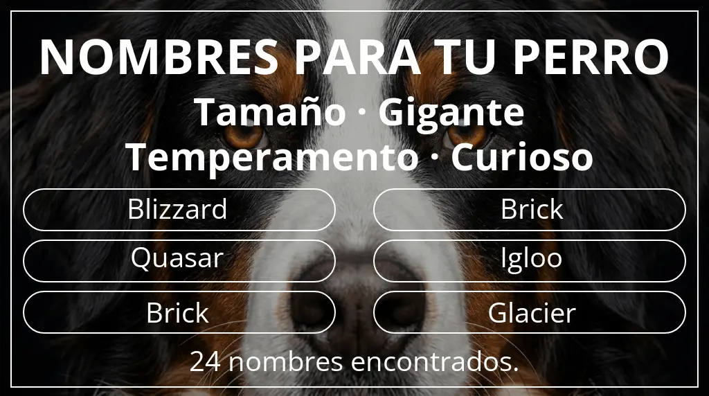 Nombres de perro basados en tamaño gigante y temperamento curioso