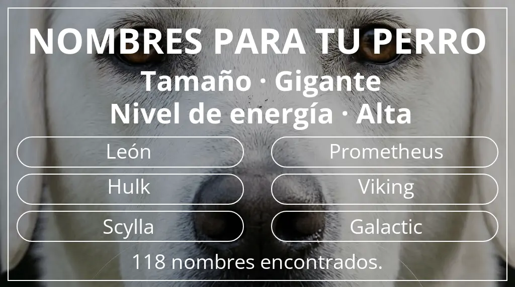 Nombres de perro inspirados en tamaño gigante y nivel de energía alta