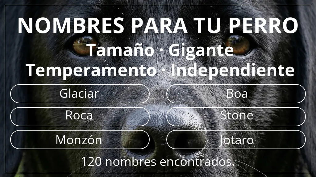 Nombres de perro basados en tamaño gigante y temperamento independiente