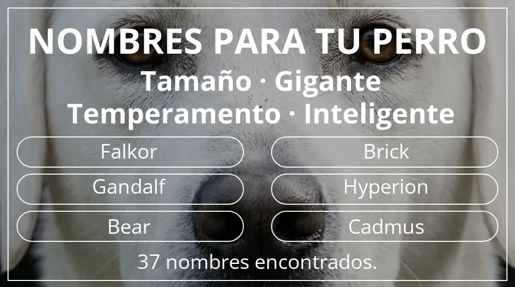 Nombres para perro inspirados en tamaño gigante y temperamento inteligente