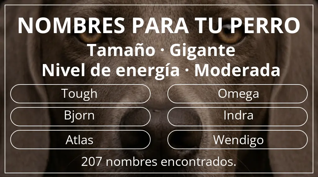Nombres de perro inspirados en tamaño gigante y nivel de energía moderada