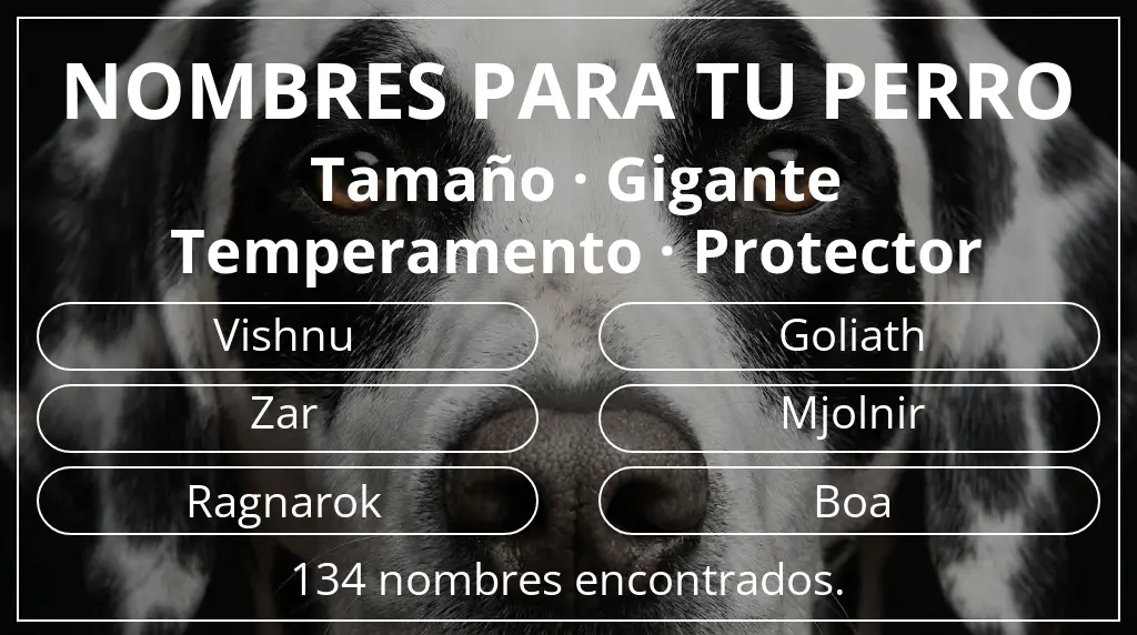 Nombres de perro inspirados en tamaño gigante y temperamento protector