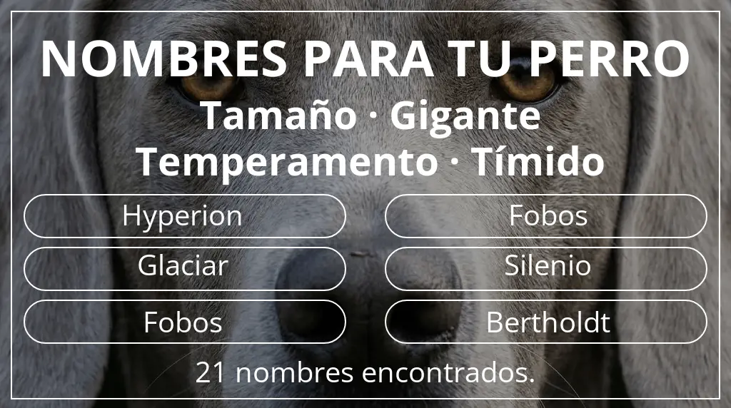 Nombres para perro inspirados en tamaño gigante y temperamento tímido