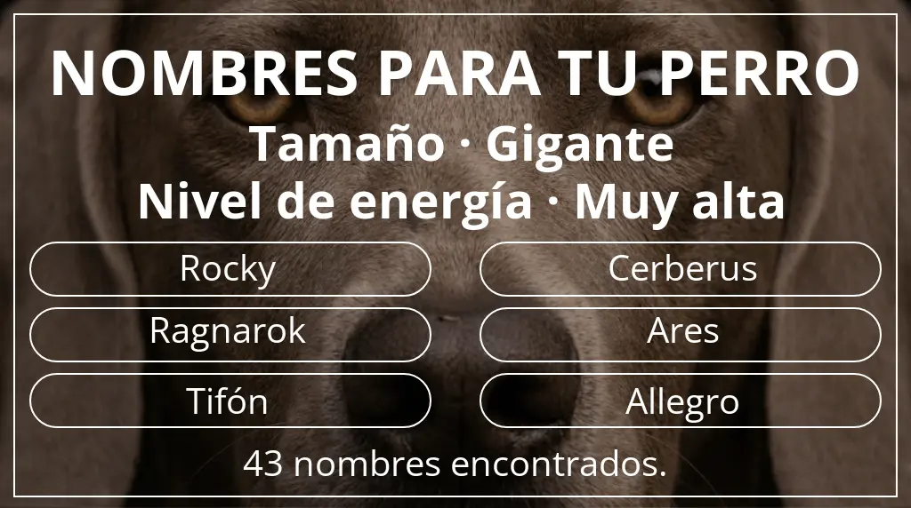 Nombres de perro basados en tamaño gigante y nivel de energía muy alta