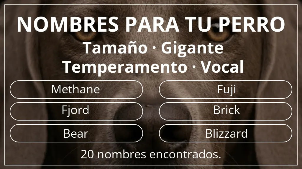 Nombres para perro inspirados en tamaño gigante y temperamento vocal