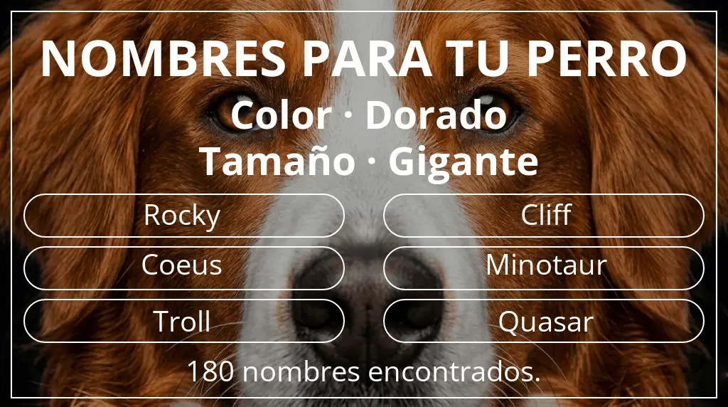 Nombres para perro inspirados en color dorado y tamaño gigante