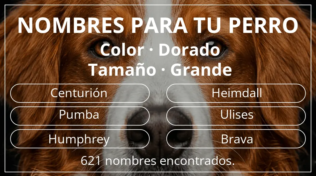 Nombres para perro basados en color dorado y tamaño grande