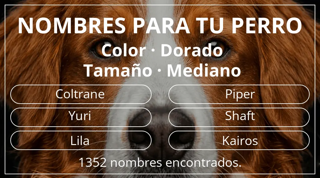 Nombres para perro basados en color dorado y tamaño mediano