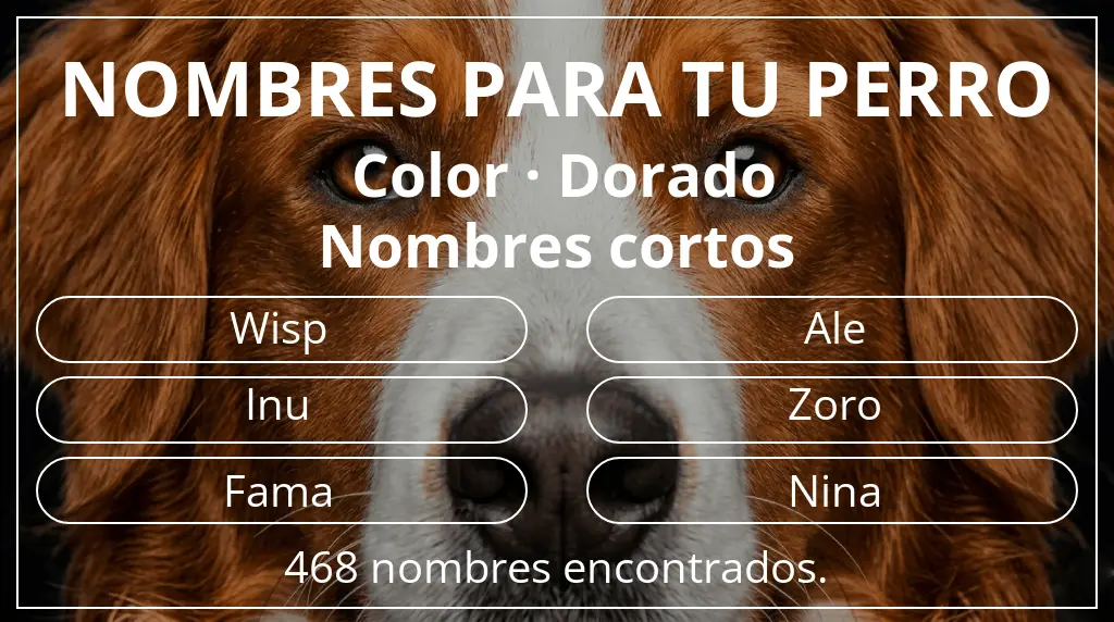 Nombres para perro basados en color dorado y longitud del nombre corto (2-4)