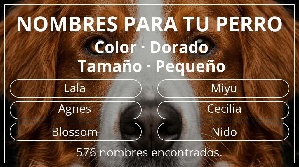 Nombres para perro inspirados en color dorado y tamaño pequeño