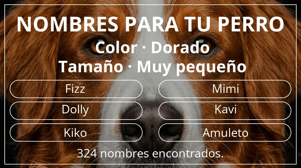 Nombres para perro inspirados en color dorado y tamaño muy pequeño