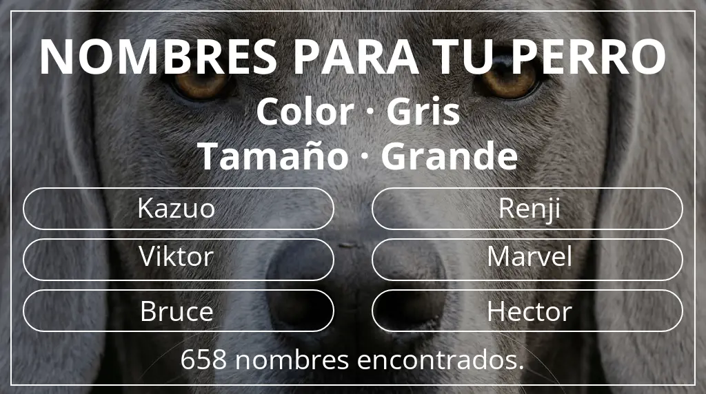 Nombres de perro inspirados en color gris y tamaño grande