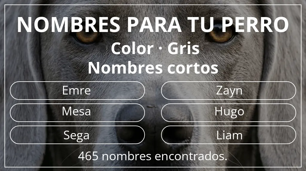 Nombres de perro inspirados en color gris y longitud del nombre corto (2-4)