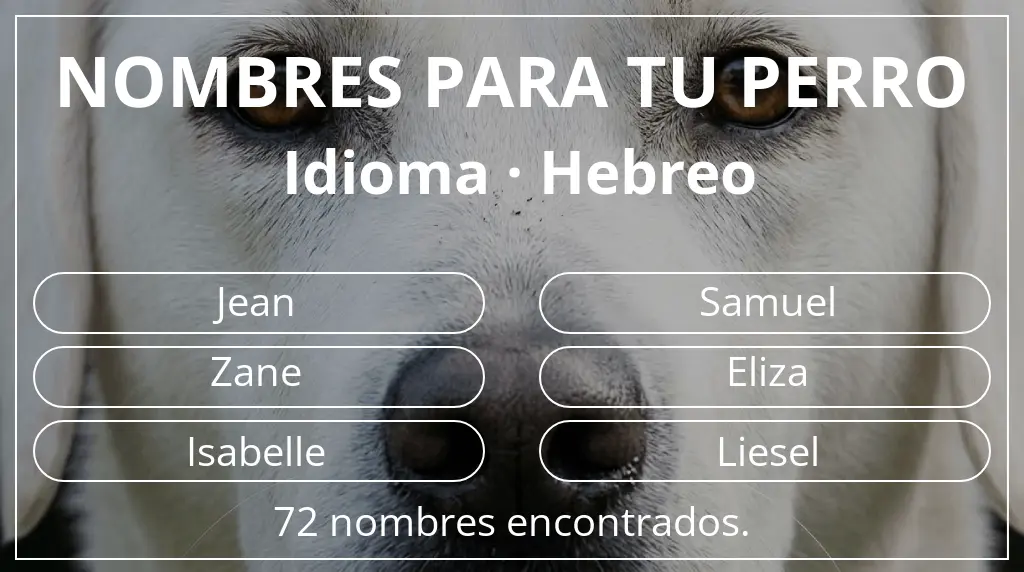 Nombres de perro basados en idioma hebreo