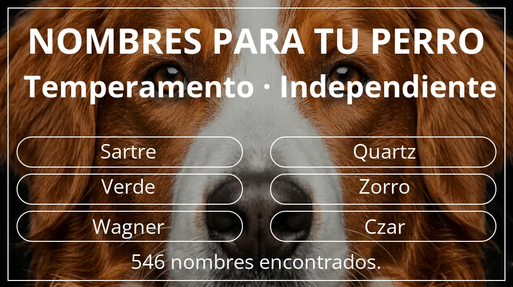 Nombres para perro basados en temperamento independiente