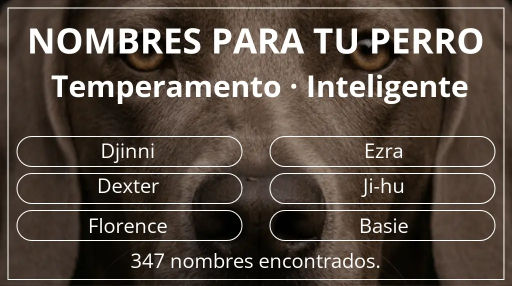 Nombres de perro basados en temperamento inteligente